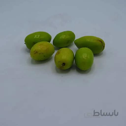 بذر درخت کنار هندی کشیده