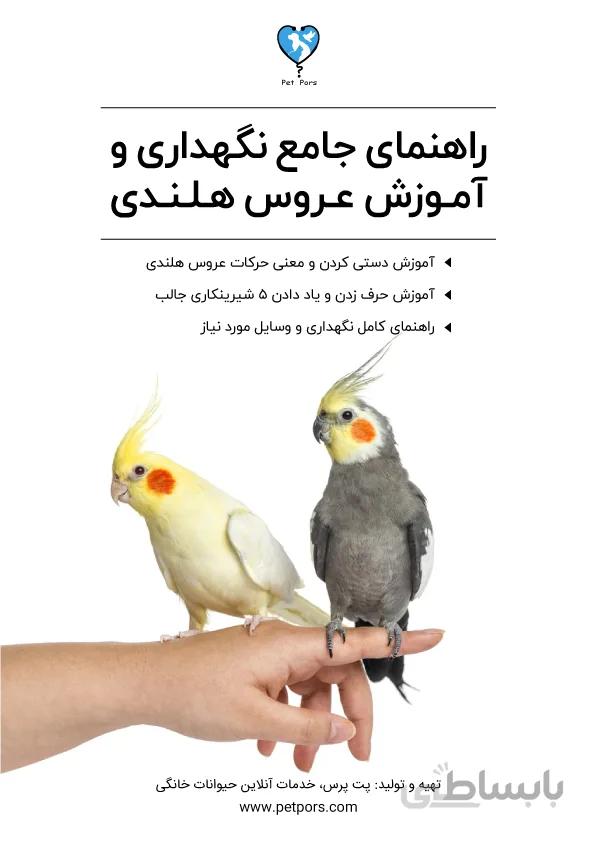 راهنمای جامع نگهداری و آموزش عروس هلندی