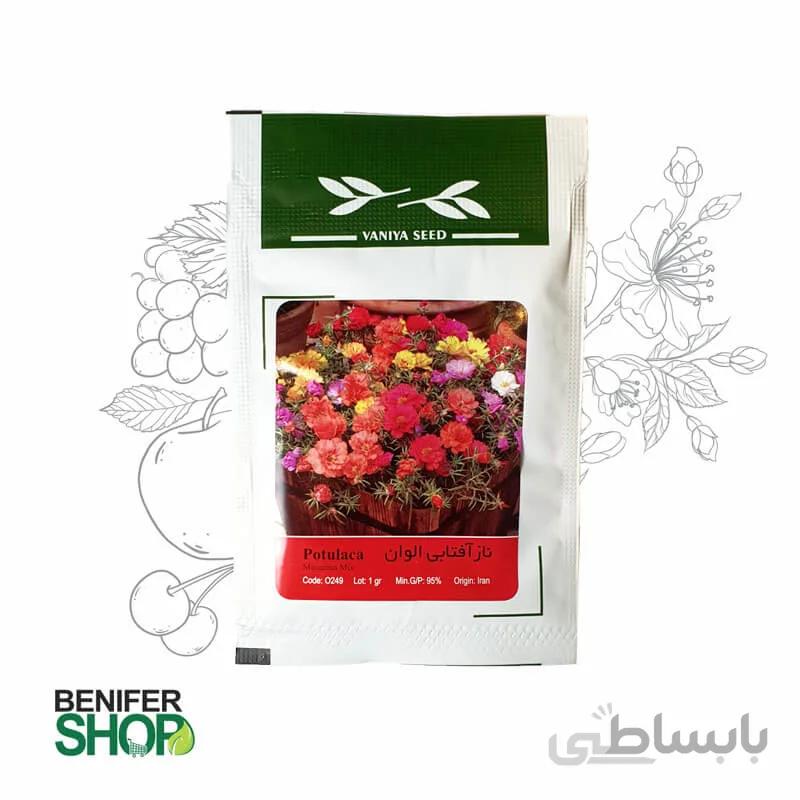 ناز آفتابی الوان