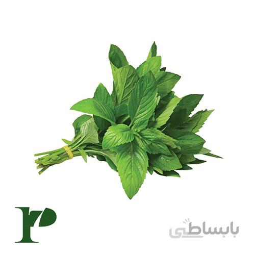 بذر ریحان سبز بسته‌ی 100 گرمی