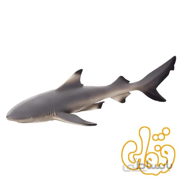کوسه باله مشکی Black Tip Reef Shark 387357