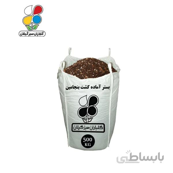 بستر آماده کشت بنجامین عمده 500 کیلویی