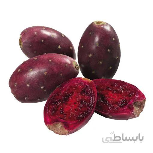 بذر کاکتوس اپونتیا گلابی بنفش یا انجیر هندی بسته 10 عددی