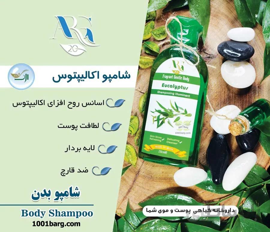 شامپو بدن اکالیپتوس ارگ 20