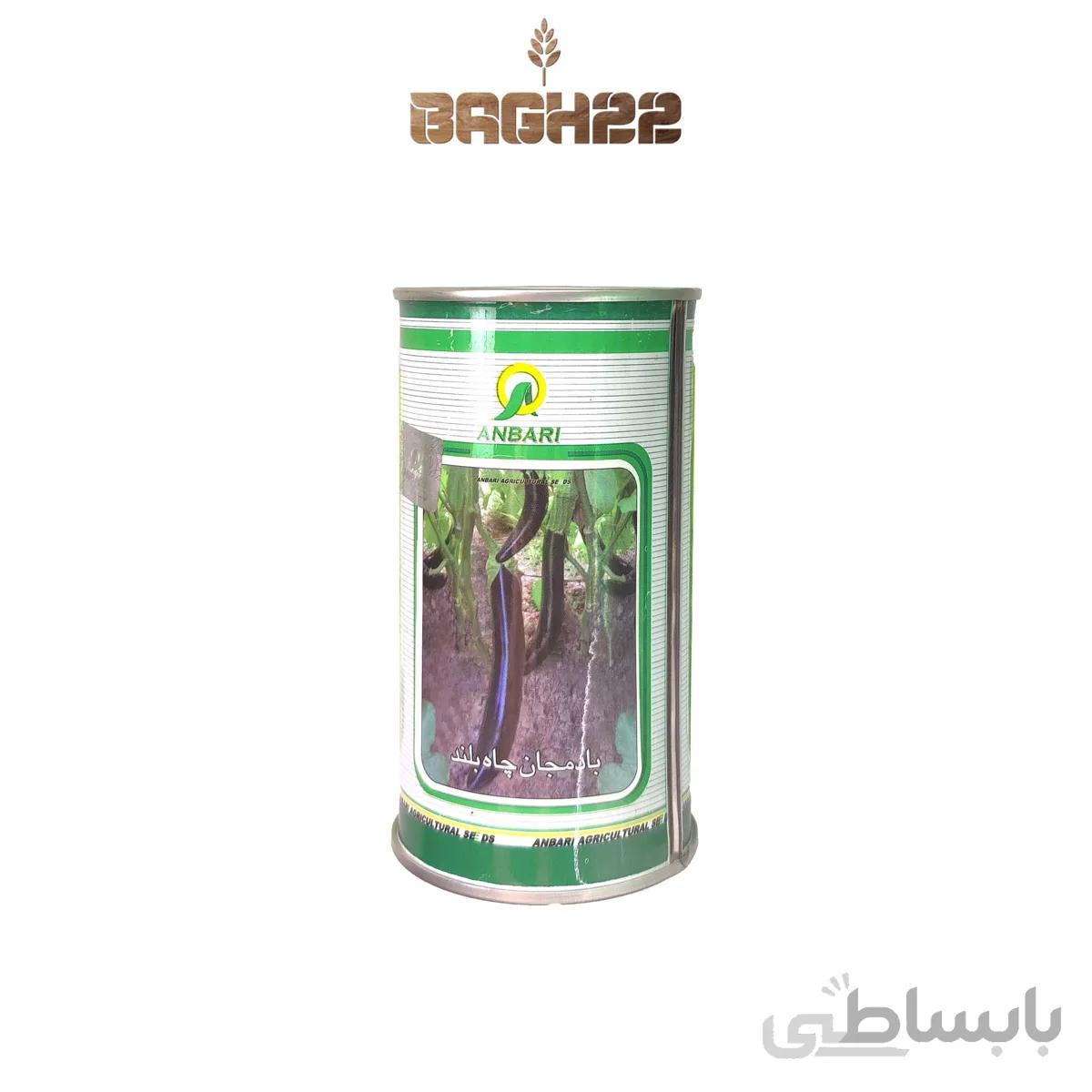 بذر بادمجان چاه بلند 100گرمی