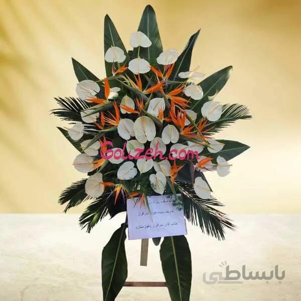 تاج گل پرنده بهشتی