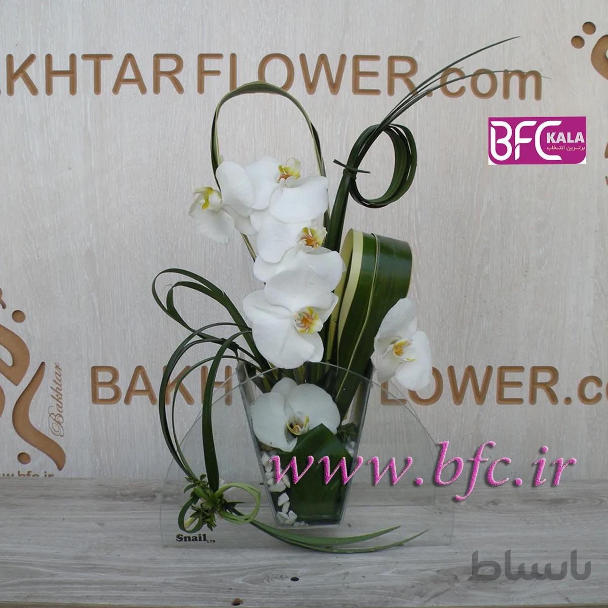 گلدان ارکیده