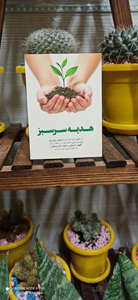 کتاب گلهای آپارتمانی ومشاوره گیاه پزشکی جیبی