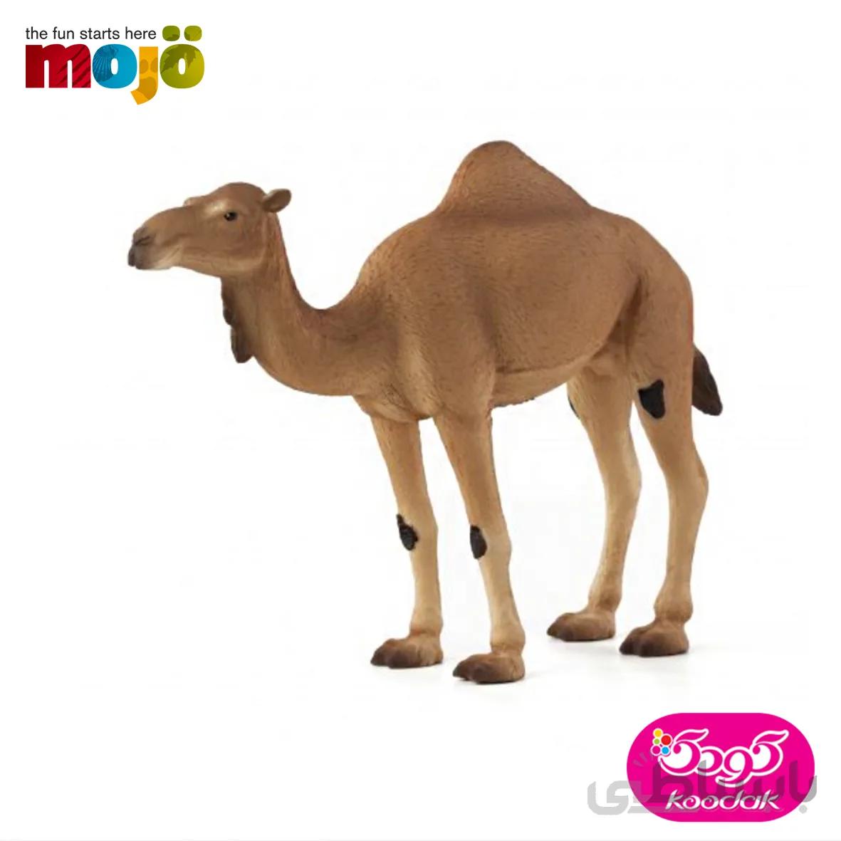 شتر 387113 – حیوانات موجو