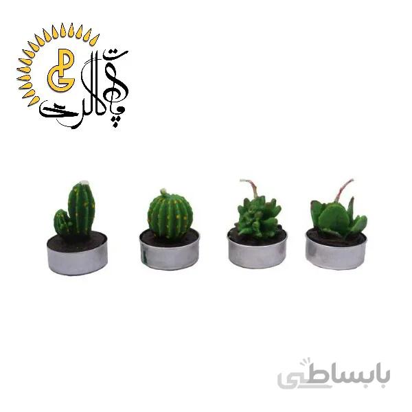 شمع کاکتوس 4 عددی