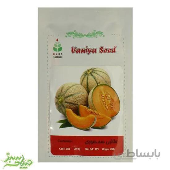 بذر طالبی سمسوری