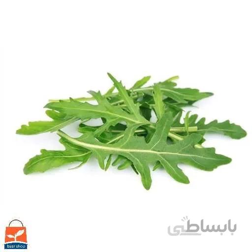 بذر منداب ایرانی