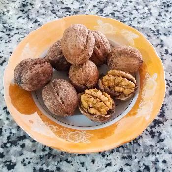 گردو خرمدره تازه و بسیار روغنی 500 گرم
