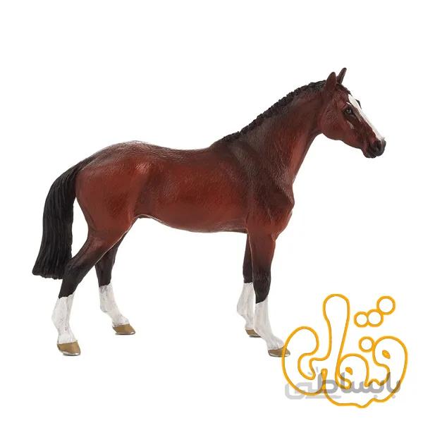 اسب هلندی اهلی Dutch Warmblood 387294