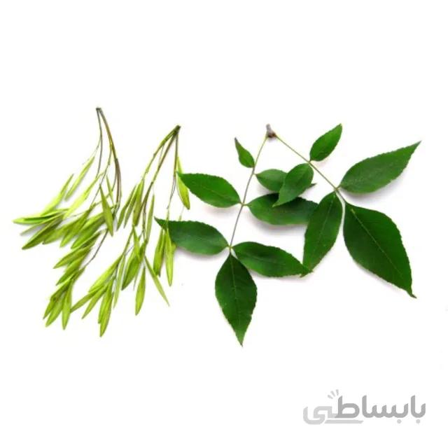 بذر درخت زبان گنجشک بسته ۵ گرمی