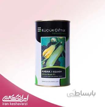 بذر کدو وایت بوش هیبرید ترکیه ای کوچوک چفتلیک
