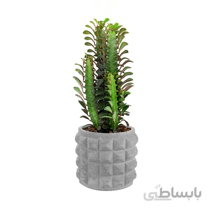 گلدان بتنی کد 68