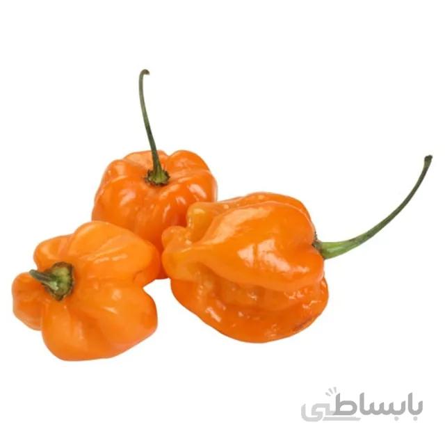 بذر فلفل ستاره ای نارنجی بسته ۵۰ عددی