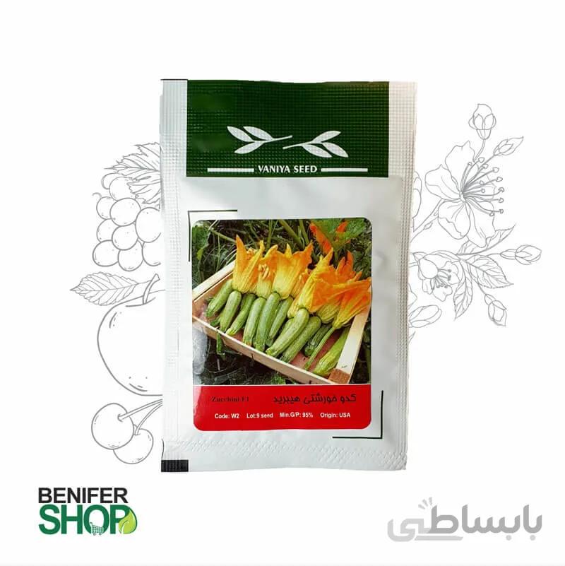 بذر خانگی کدو خورشتی هیبرید آذر سبزینه