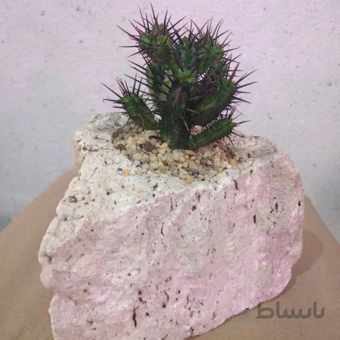 پکیج شماره ۴
