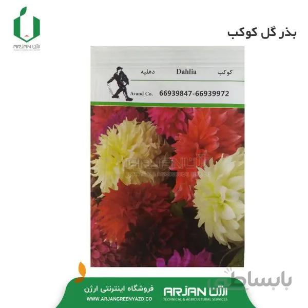 بذر گل کوکب 5 گرمی
