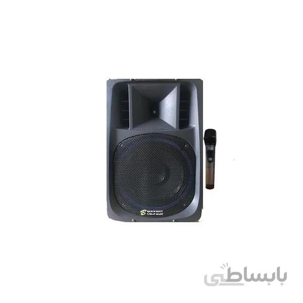 اکو همراه برین صوت مدل بی سیم ۱۲۴۰۰