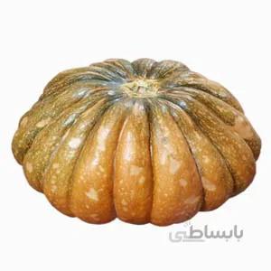 بذر کدو انجیری