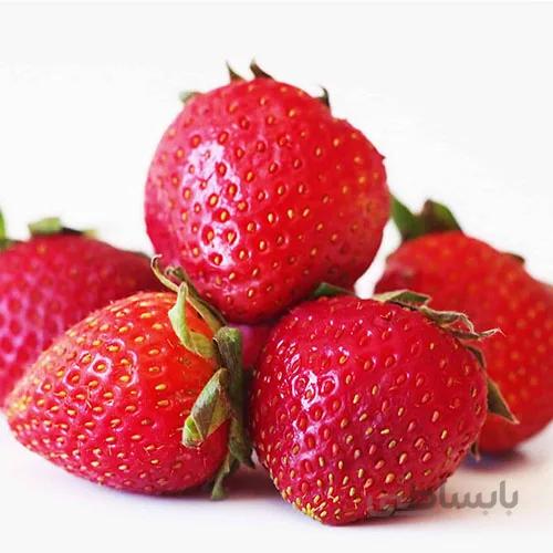 بذر توت فرنگی چهار فصل