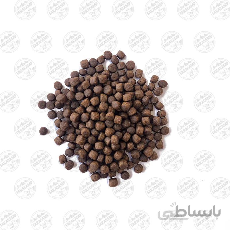 طعمه ماهیگیری لوفاک قزل الا و کپور 500 گرم مدل RFD45 شناور