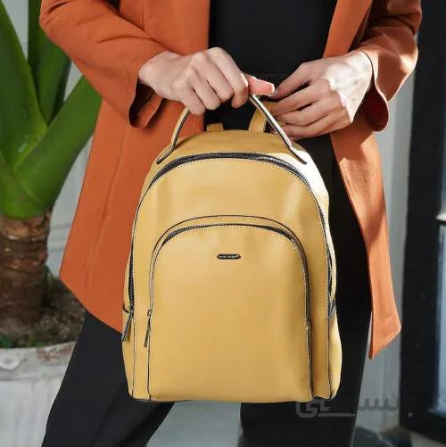 کوله پشتی مدل David Jones cm6104 - دیوید جونز