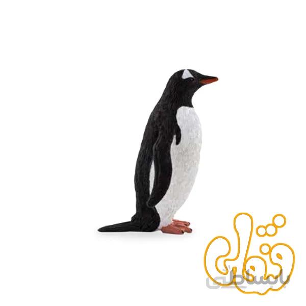 پنگوئن جنتو Gentoo Penguin 387184