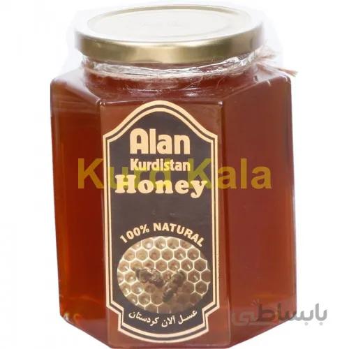عسل طبیعی کردستان برند آلان ۱کیلو