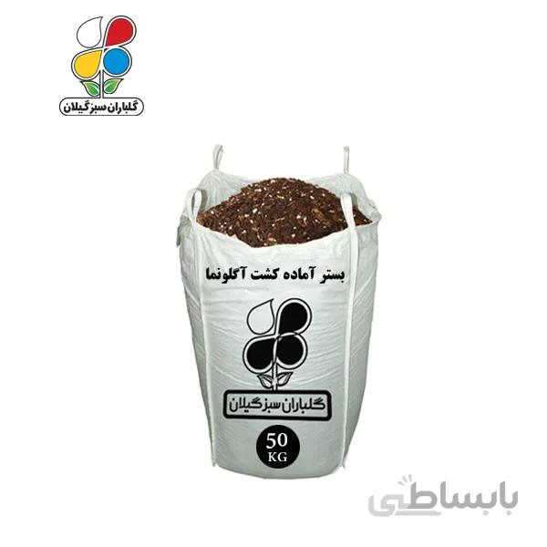 بستر آماده کشت آگلونما عمده 50 کیلویی