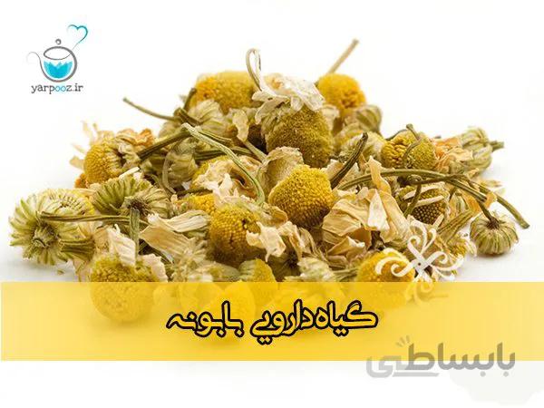گیاه دارویی بابونه مناسب برای بخور