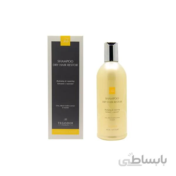 شامپو ترمیم کننده موی خشک تگودر ا Tegoder Dry Hair Restore Shampoo