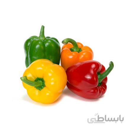 فلفل دلمه رنگی