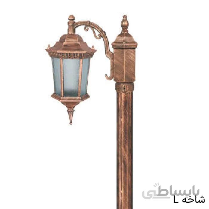 تکشاخه رابو