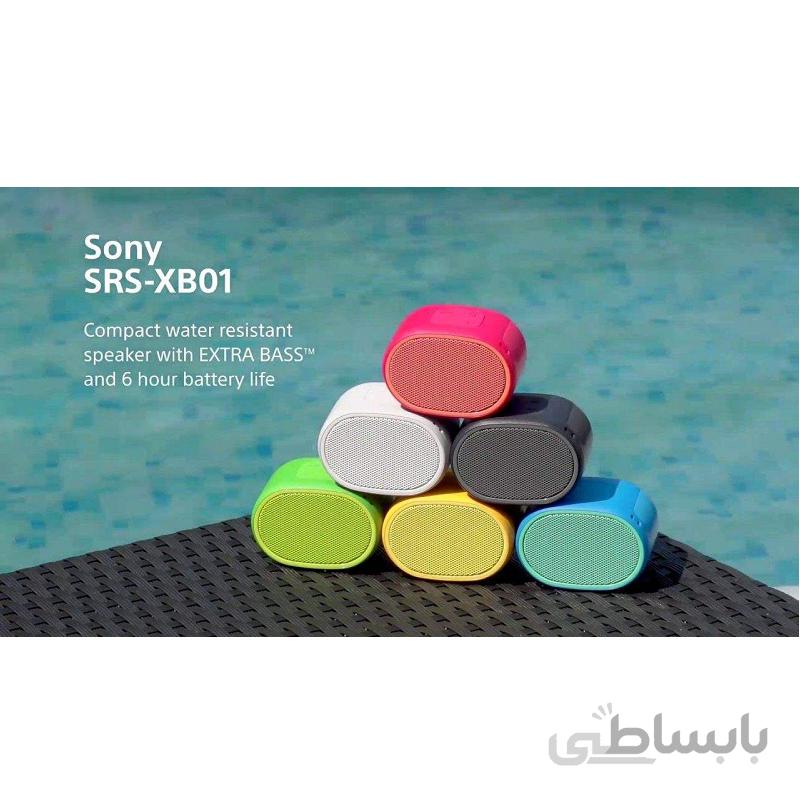 اسپیکر بلوتوثی سونی مدل SRS-XB01 ا Sony SRS-XB01 Bluetooth Speaker
