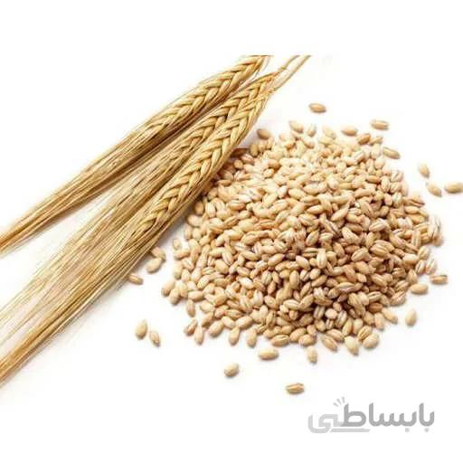 بذر جو دوسر زراعی
