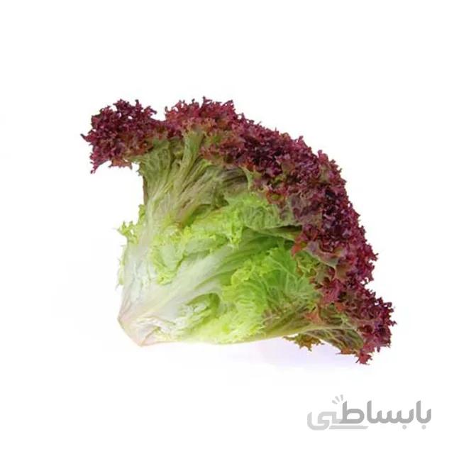 بذر کاهو فر بنفش بسته ۱ گرمی
