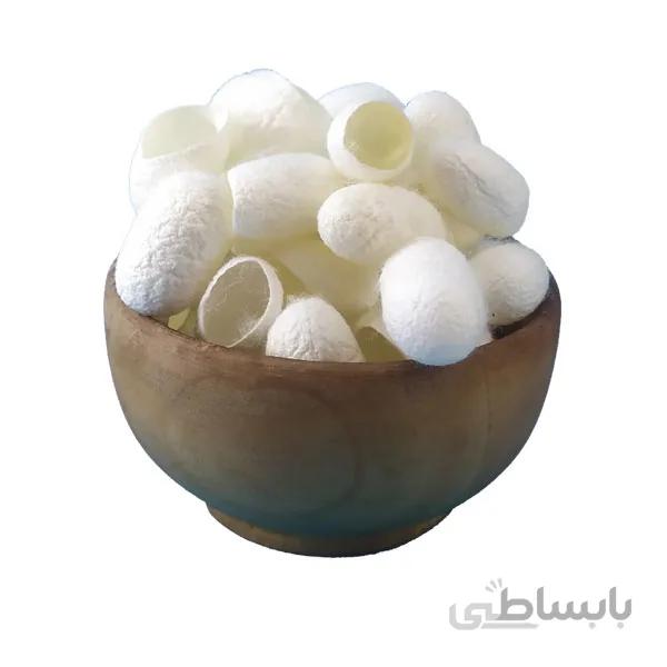 پیله ابریشم