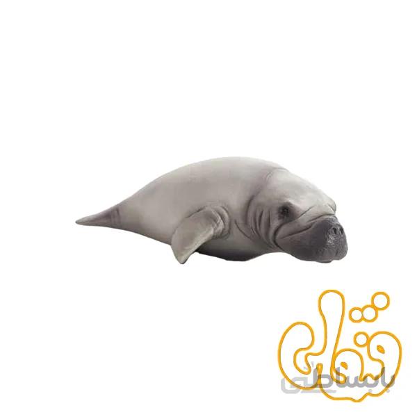گاو دریایی Manatee 387211