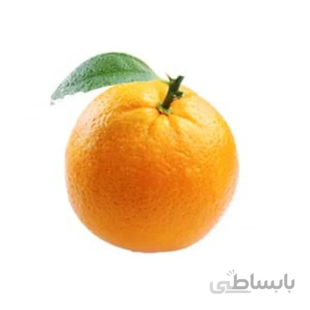 بذر نارنج بسته ۲۰ عددی