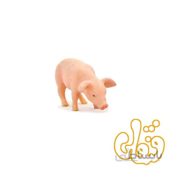 غذا خوردن توله خوک Piglet Feeding 387056