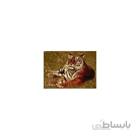 نخ و نقشه آموزشی تابلو فرش کد 18
