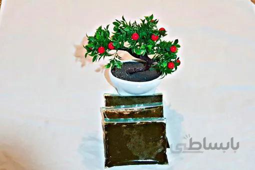 اسفناج بخارپز یک کیلو-ارسال فقط برای تهران