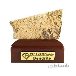 سنگ راف شجر فسیلی (دندریتی ) کد 2808 ا قیمت به شرط خرید تیمی