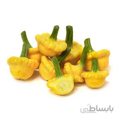 بذر کدو ستاره ای