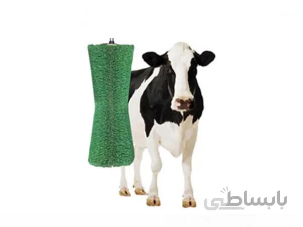 قشو اتوماتیک دامداری