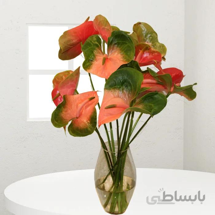 گلدان گل آنتریم کد 1079801